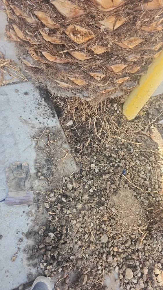 Affordable electrician providing outlet and switch repair in , 