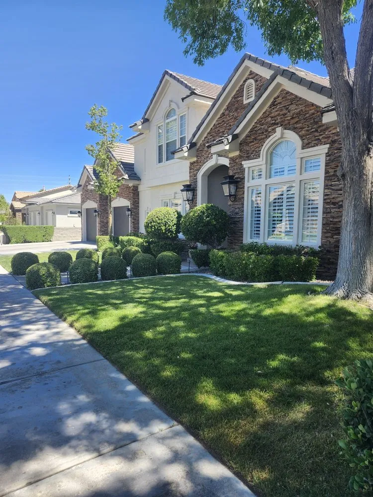 Slide of AV Landscape