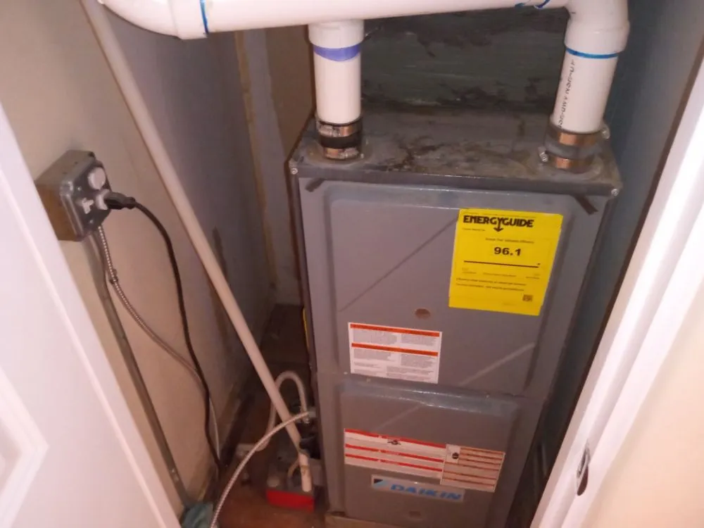 Slide of Avery's Preservation