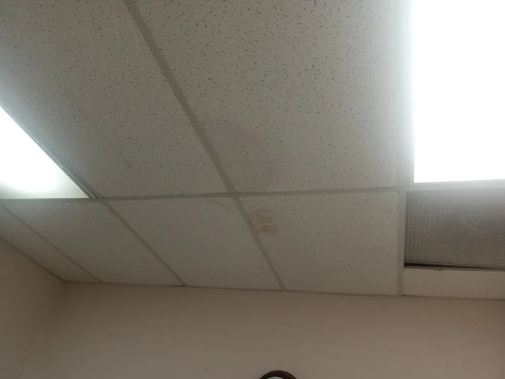 Professional electrical service for homes in outlet and switch repair, by