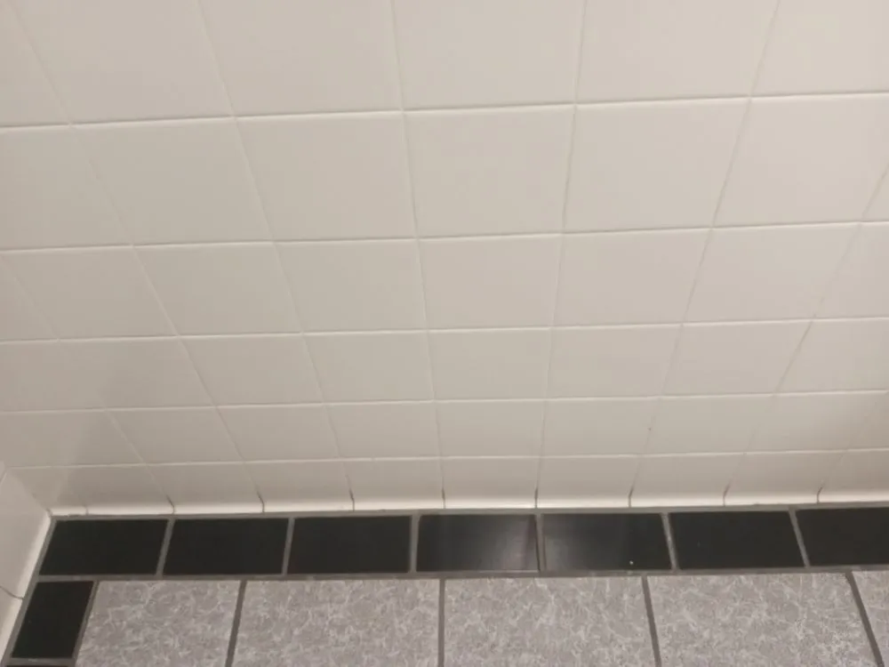 Slide of Avery's Preservation