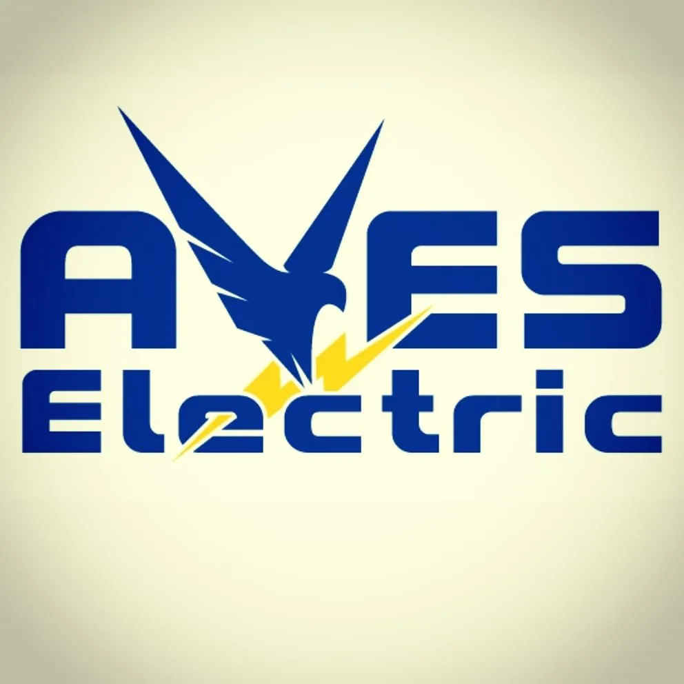 Slide of Aves Electric