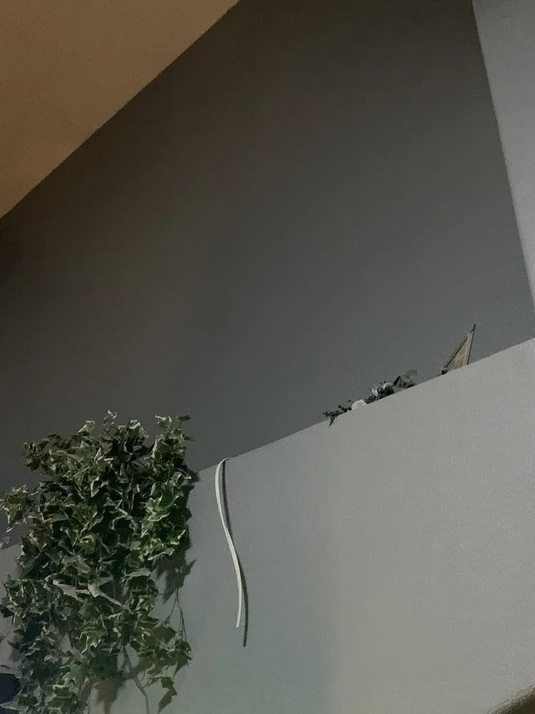 Slide of Avila's Electrical Solutions