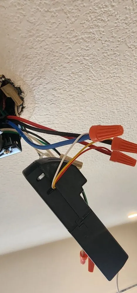 Slide of Avocado Electric