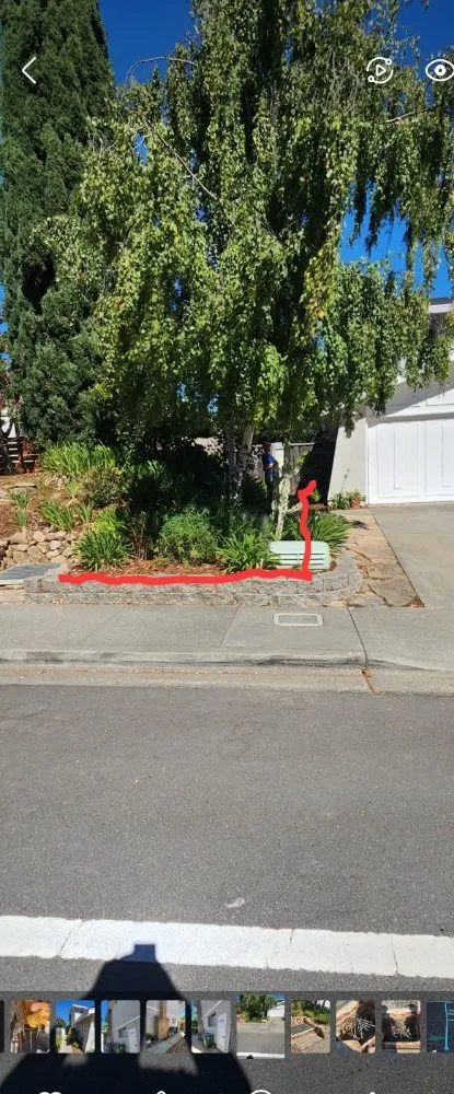 Slide of Avocado Electric