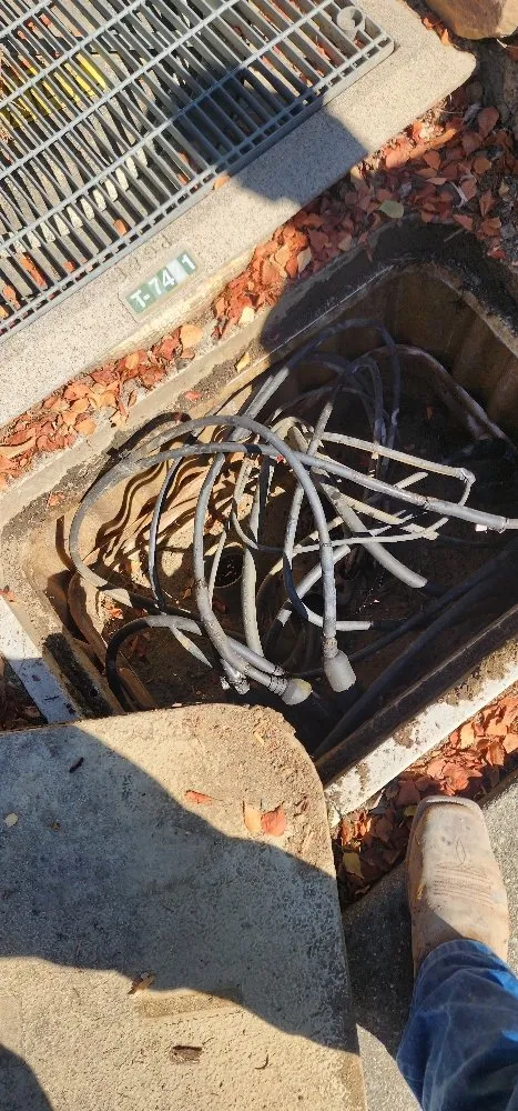 Slide of Avocado Electric