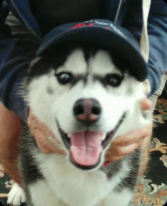 Slide of AVtek and Electrical