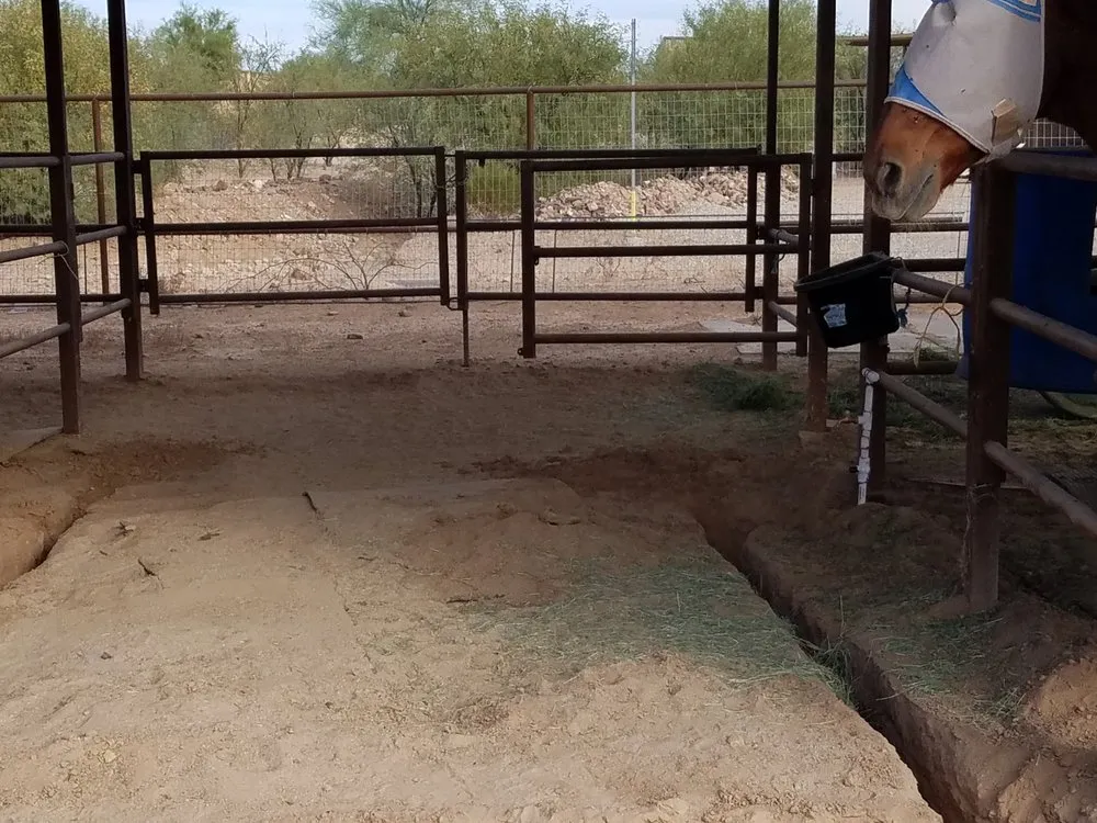 Emergency emergency electrical service in Waddell, AZ by AXIS Handyman Services