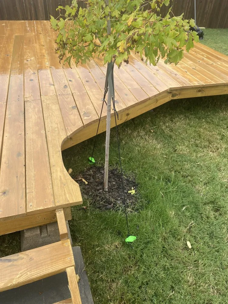 Slide of AY Development