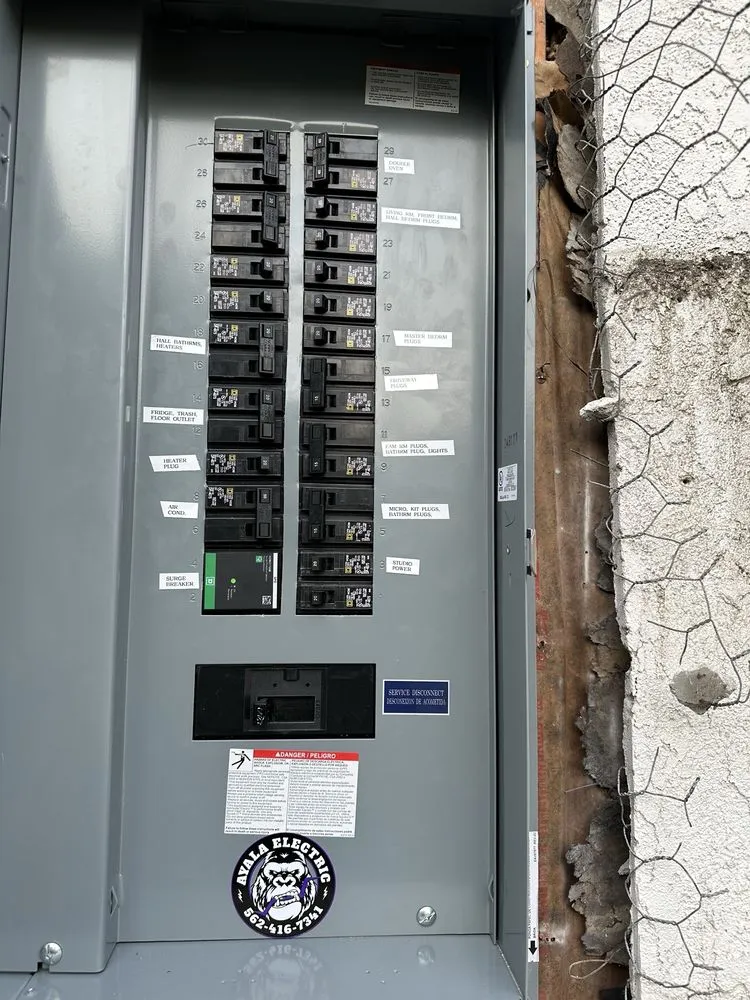 Slide of Ayala Electric