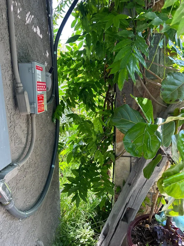 Expert electrical service for homes in outlet and switch repair,  by 