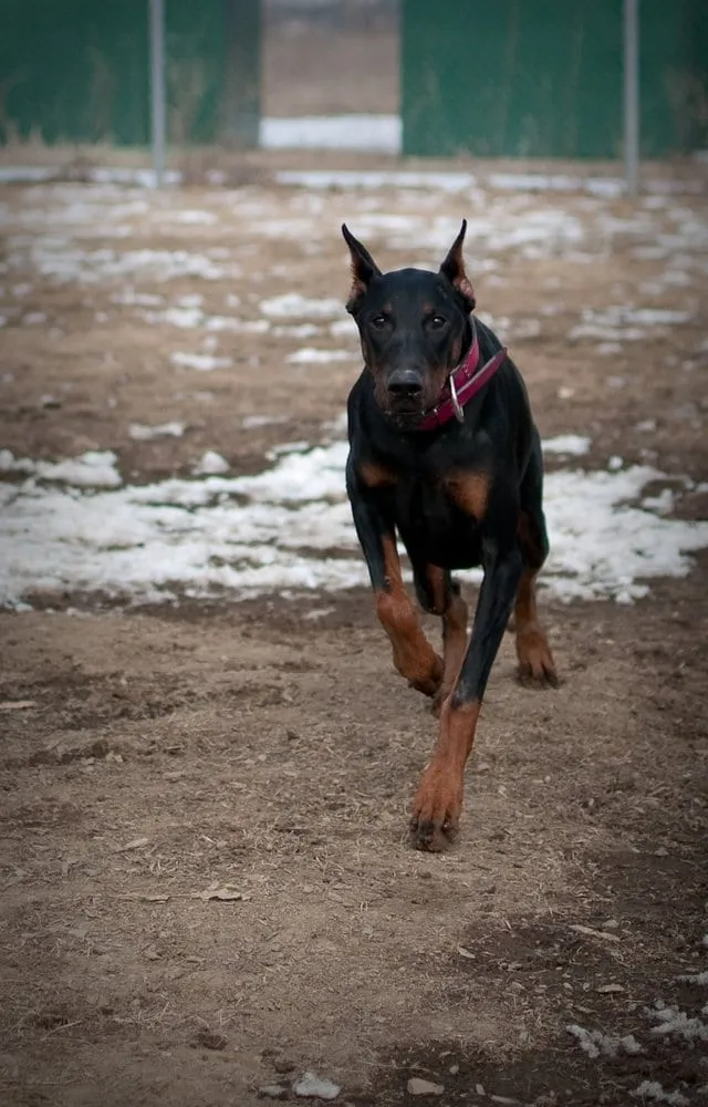 Slide of AZ IT Technology