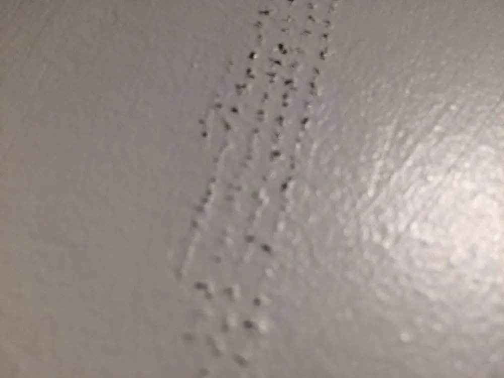 Slide of B C Construction