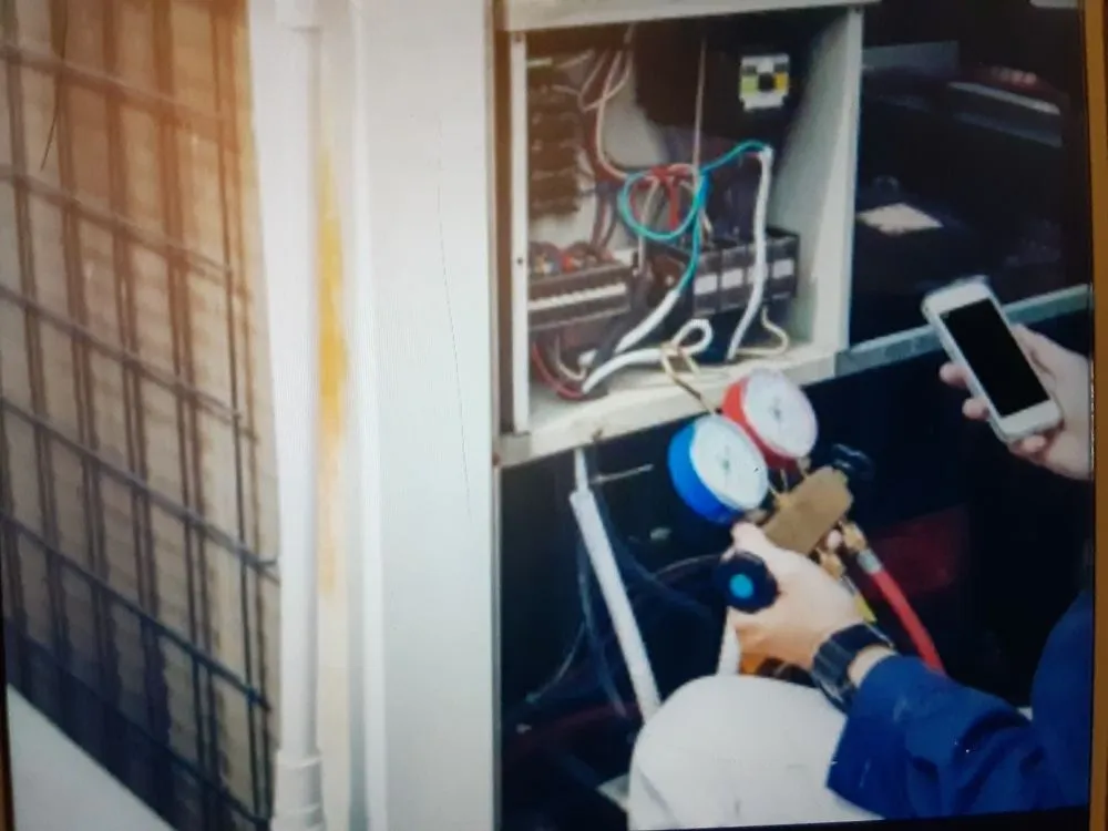 Expert electrician providing lighting installation in , 