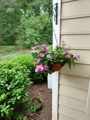 B P Electric Service Logo