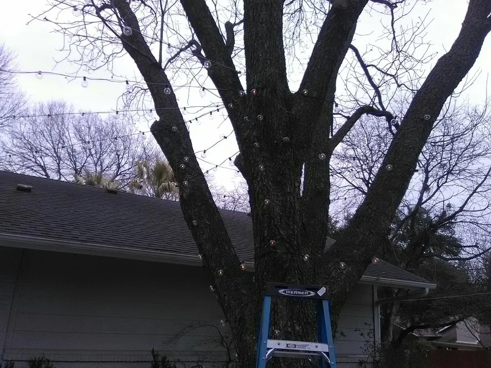 Expert electrician providing outlet and switch repair in ,