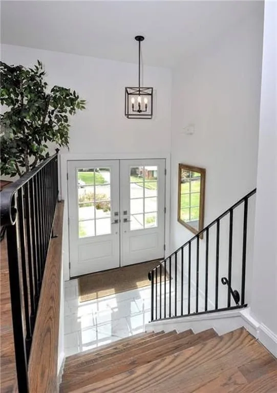 Slide of Baby Bird Electric