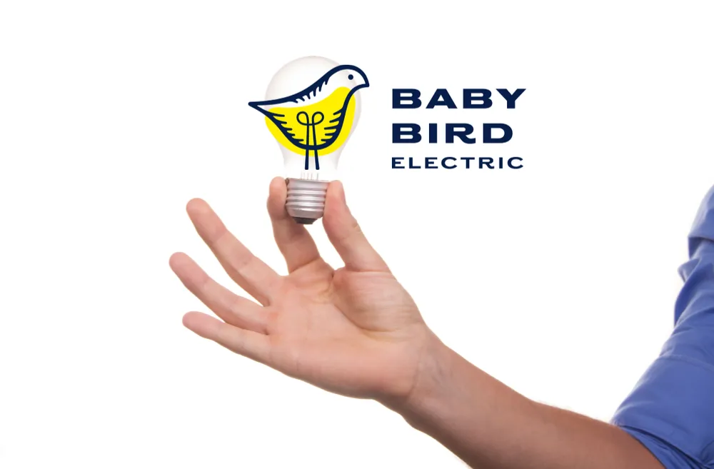 Slide of Baby Bird Electric