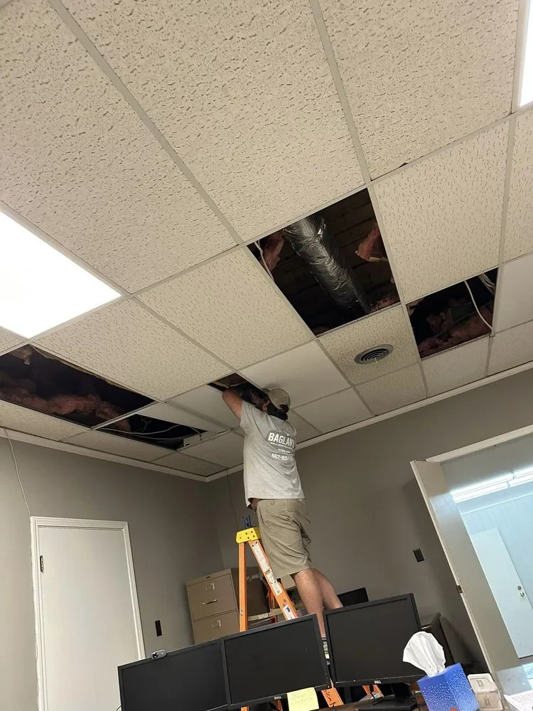 Licensed lighting installation in Courtland, MS by Baglan’s Electrical & Heating Air Conditioning Service