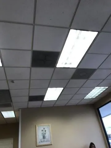 Affordable electrician providing outlet and switch repair in , 