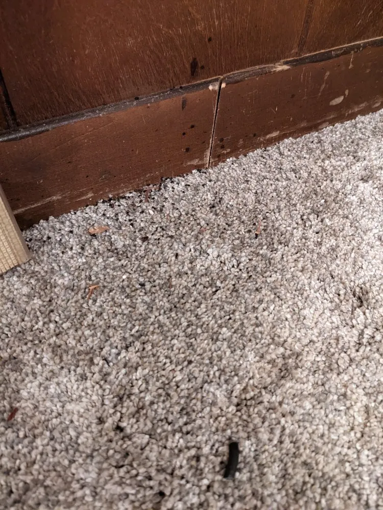 Affordable panel upgrade in ,  by Baker Brothers Plumbing, Air & Electric