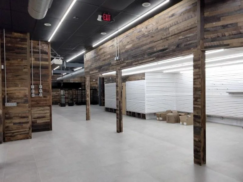 Slide of Bald Eagle Electrical