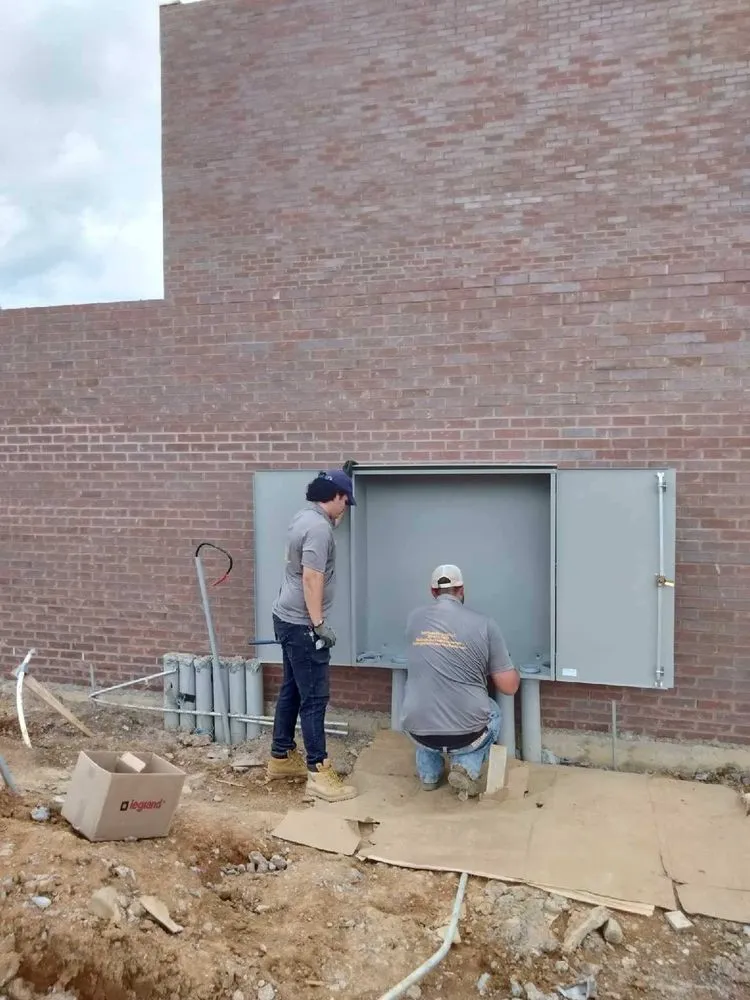 Slide of Bald Eagle Electrical