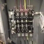 Slide of Bald Eagle Electrical