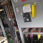 Slide of Bald Eagle Electrical