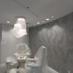 Slide of Bald Eagle Electrical