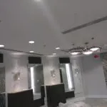 Slide of Bald Eagle Electrical