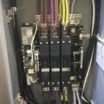 Slide of Bald Eagle Electrical