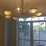 Slide of Bald Eagle Electrical