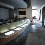 Slide of Bald Eagle Electrical