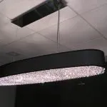 Slide of Bald Eagle Electrical