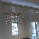 Slide of Bald Eagle Electrical