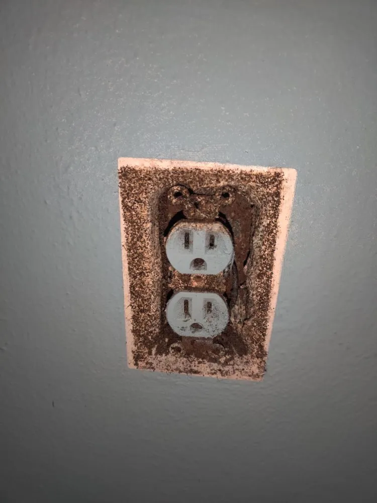 Emergency circuit breaker repair experts serving Sorrento, FL - Balder Avalon