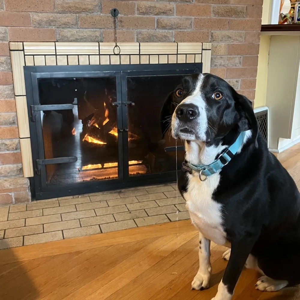 Certified electrical service for homes in circuit breaker repair,  by 