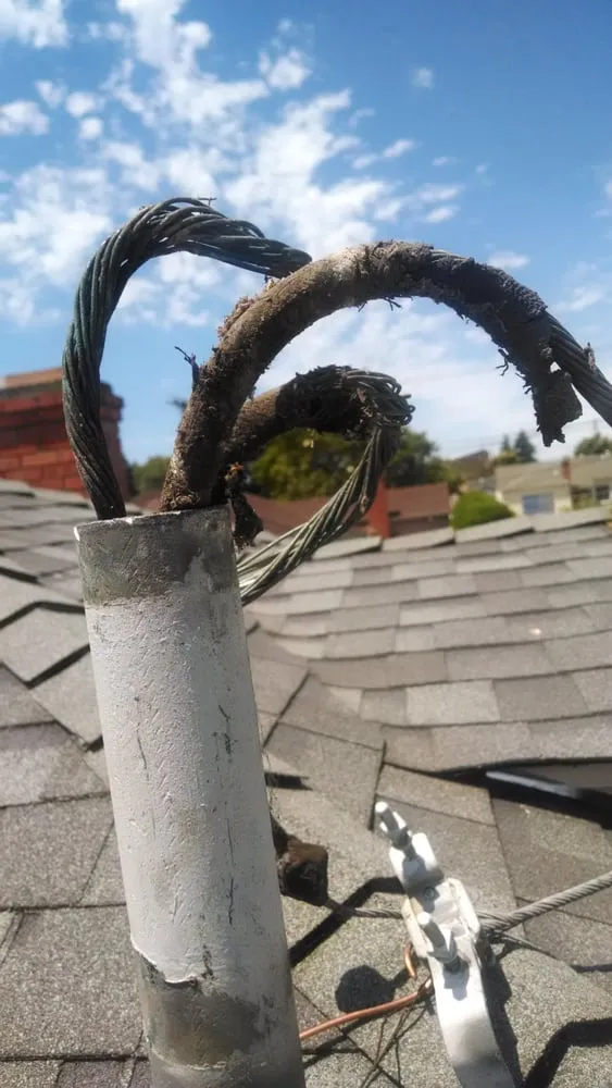 Slide of Bamboo Green Electric Industry Company