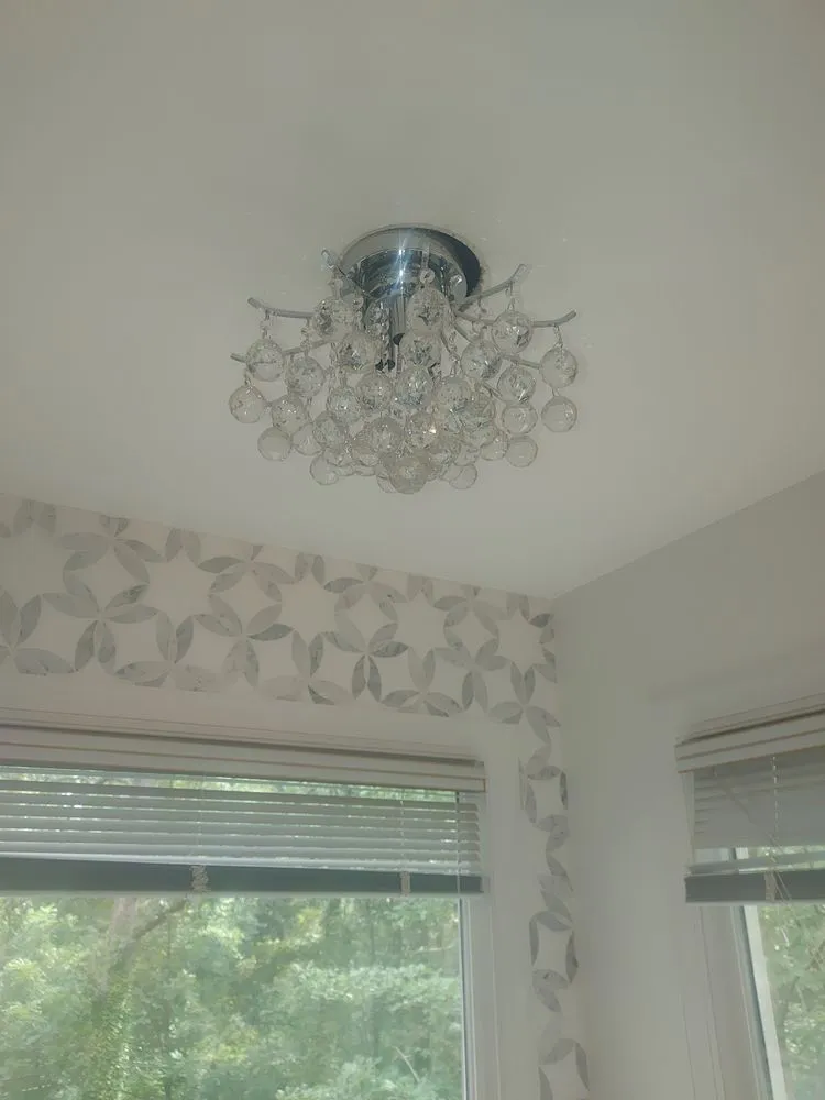 Slide of BAMN Electric