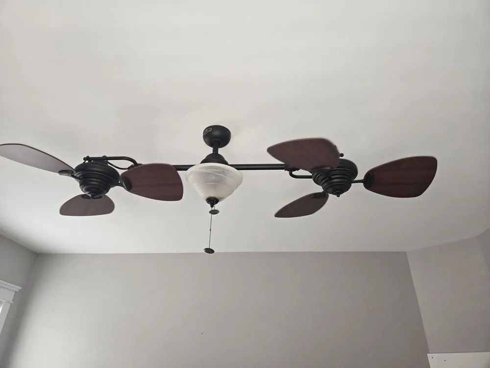 Slide of BAMN Electric