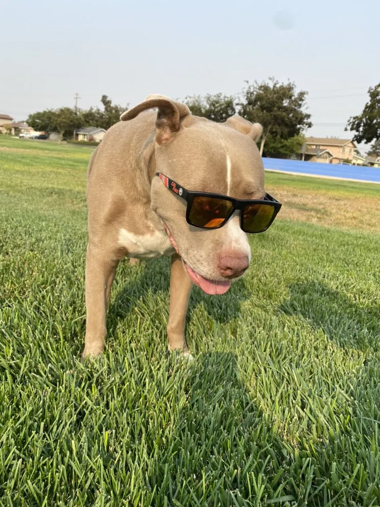 Slide of Barnes Mobile