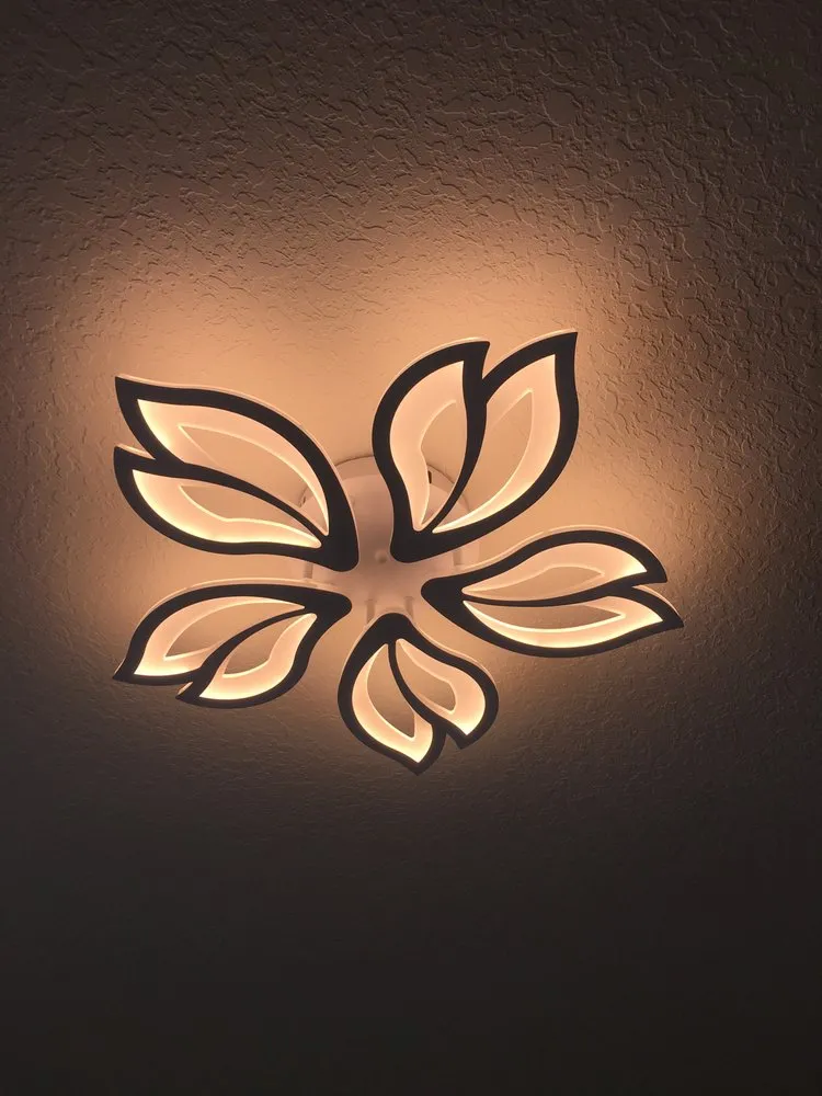 Slide of Baron Electric