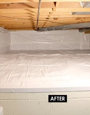 Slide of Basement Doctor Northeast