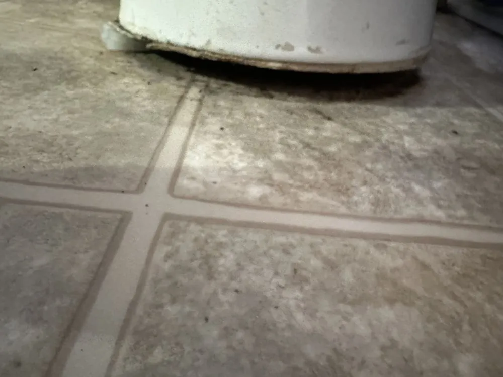 Slide of Bayside Construction Company VA