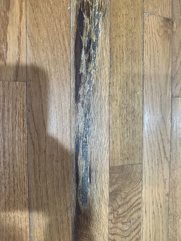 Professional electrical service for homes in emergency electrical service,  by 