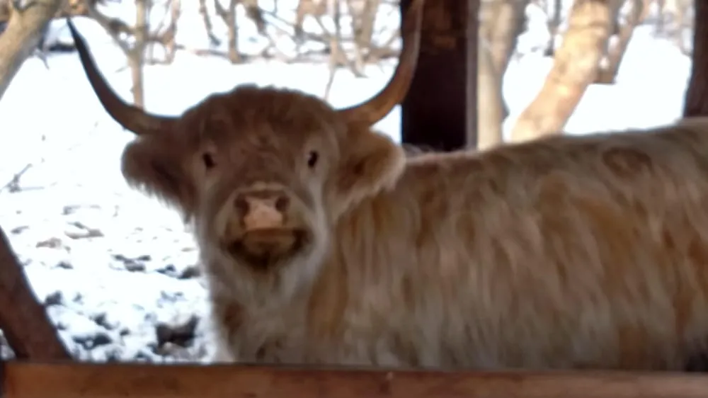 Slide of Beam Electric