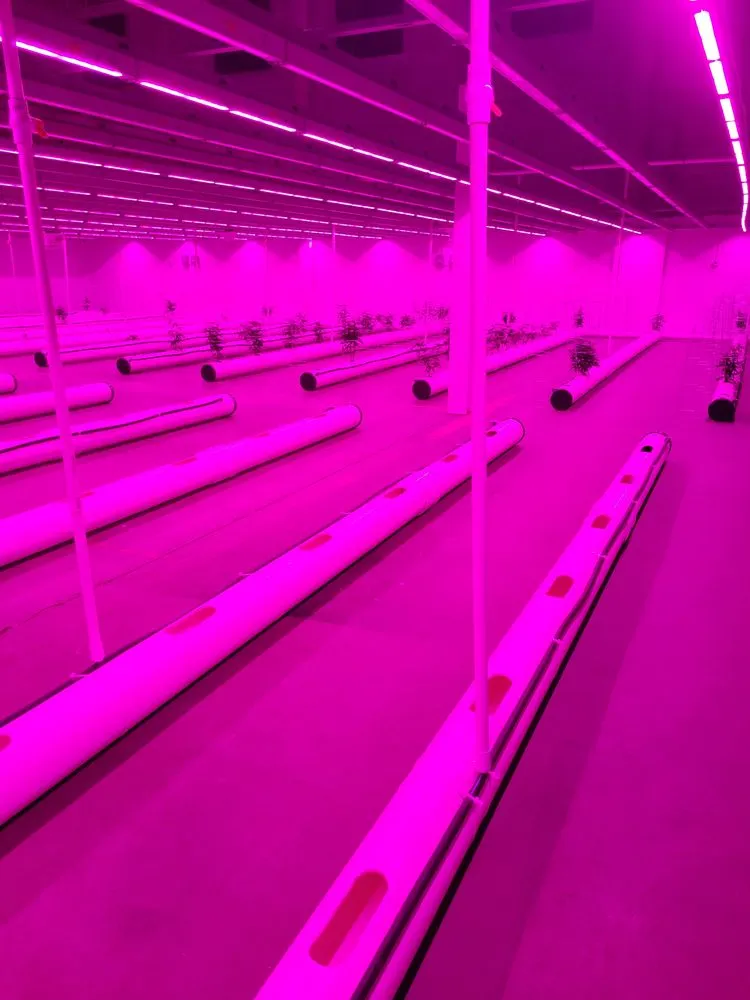 Slide of Beames Electric