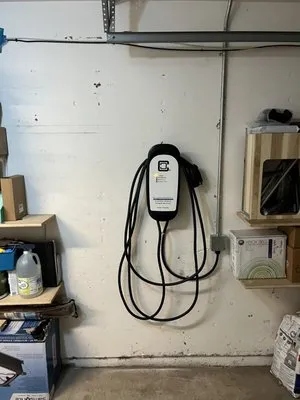 Bear Copper Electric