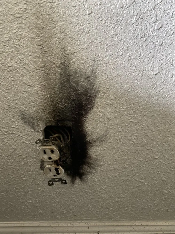 Slide of Bear Electric